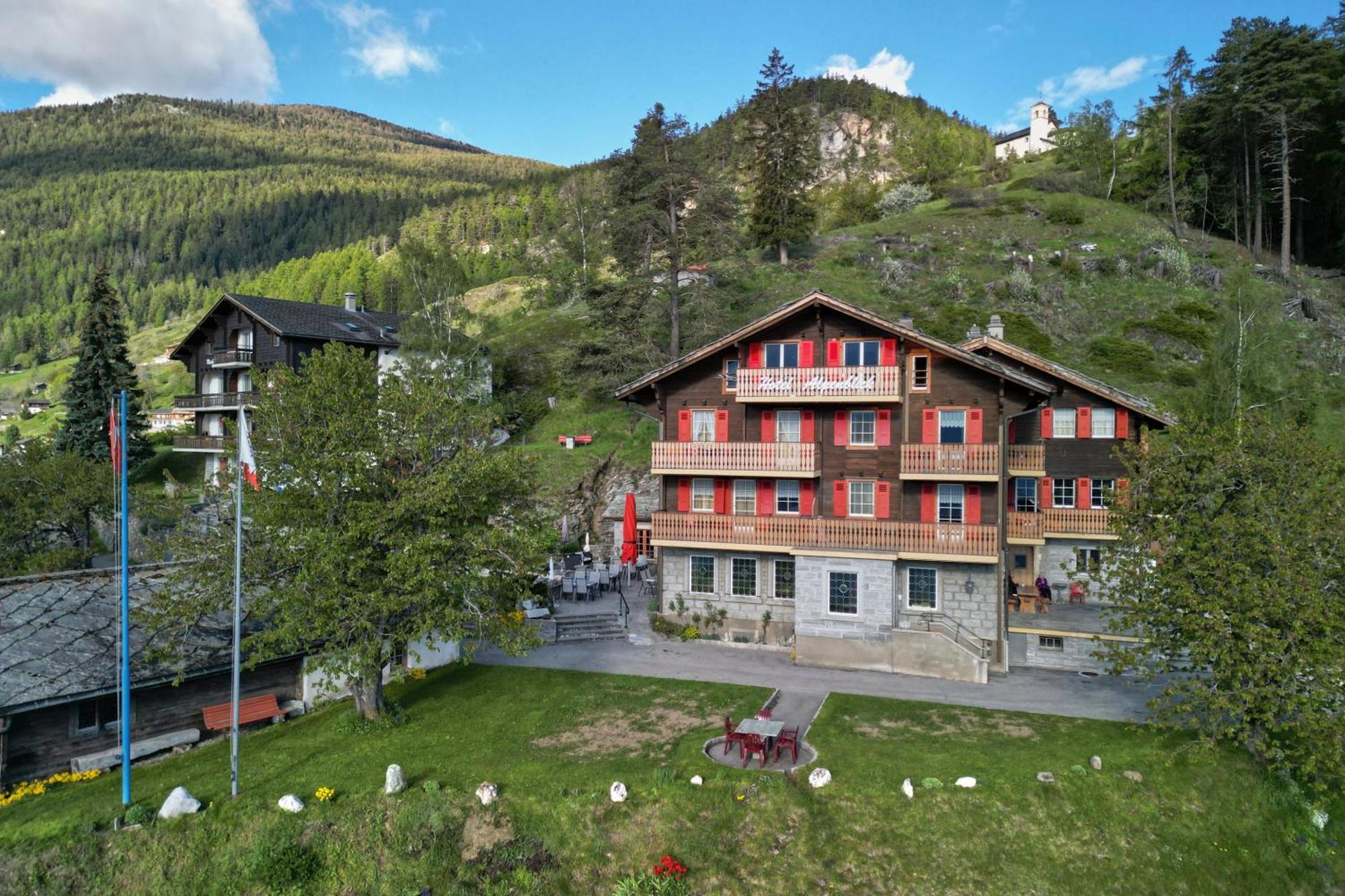 Hotel Alpenblick Zeneggen Bagian luar foto