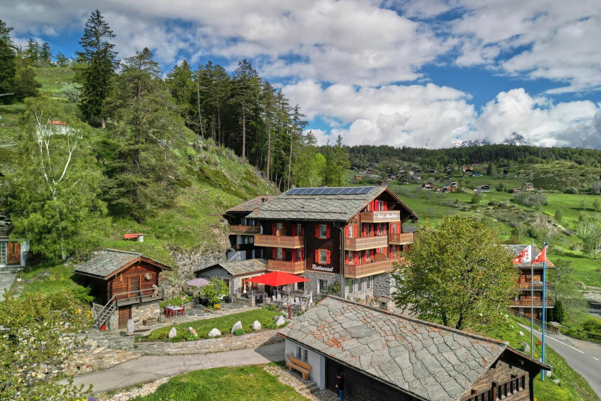Hotel Alpenblick Zeneggen Bagian luar foto