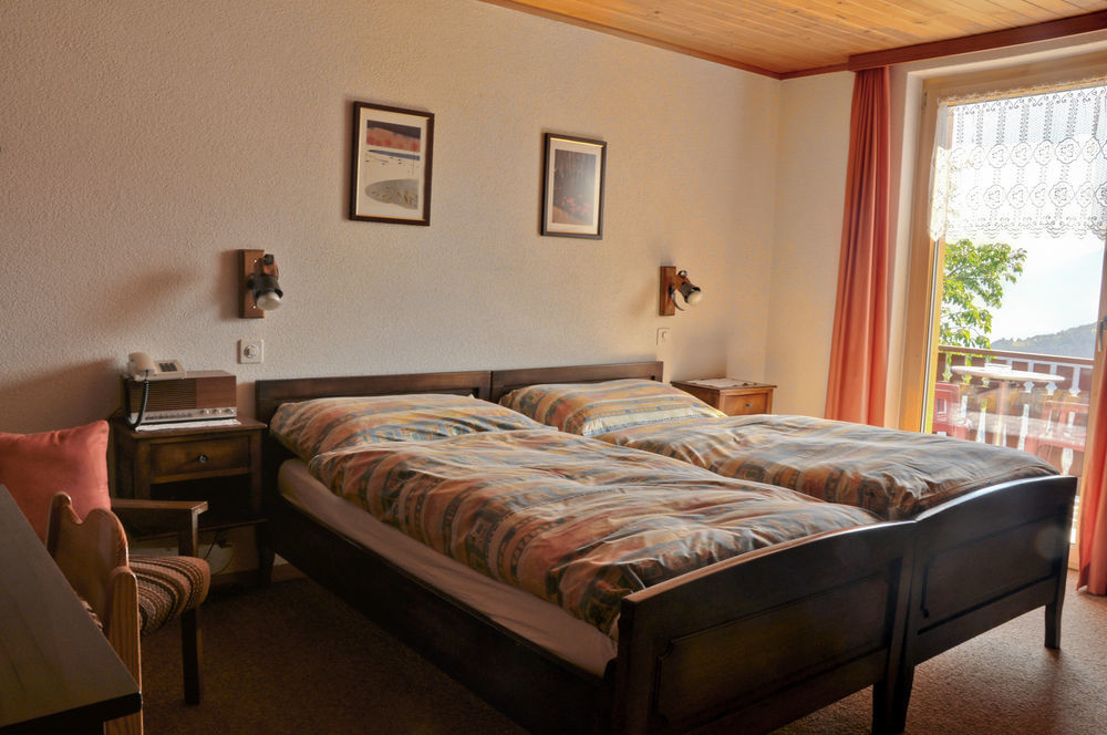 Hotel Alpenblick Zeneggen Bagian luar foto