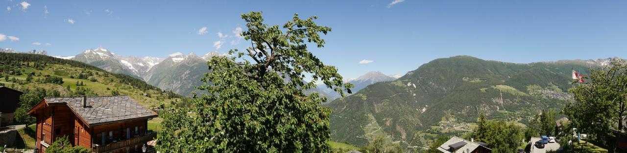 Hotel Alpenblick Zeneggen Bagian luar foto