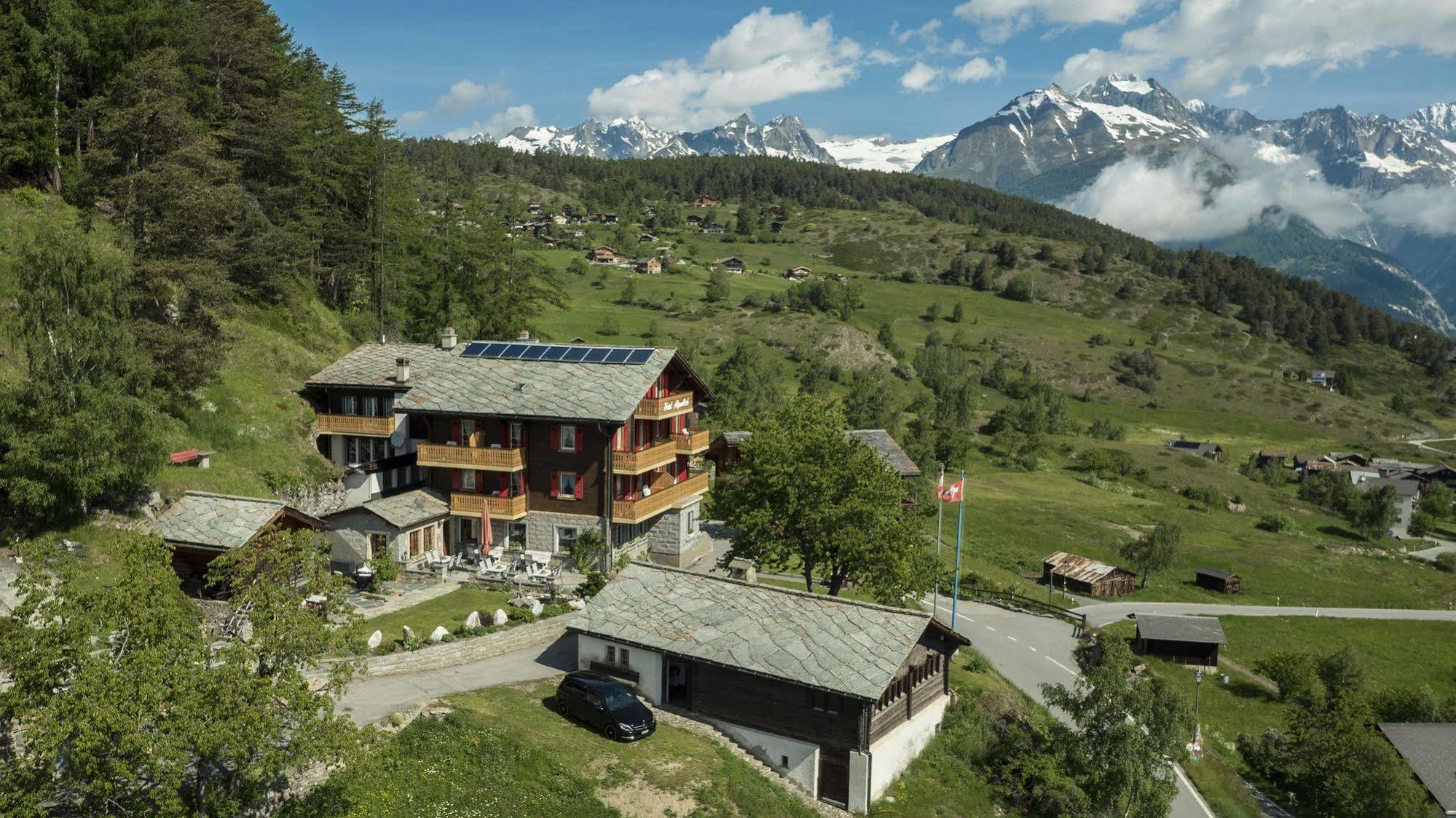 Hotel Alpenblick Zeneggen Bagian luar foto